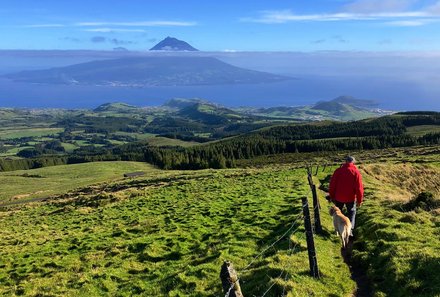 Azoren Family & Teens - Insel Pico - Mann mit Hund