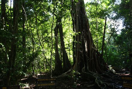 Costa Rica mit Jugendlichen - Urwald Corcovado Nationalpark