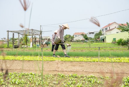Vietnam for family individuell - Tra Que Herbal Village - Bewässern
