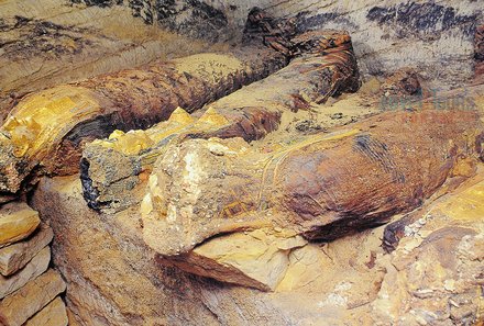 Halle der goldenen Mumien - Nahaufnahme der Mumien - Ägypten mit Kindern