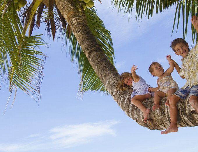 Dom Rep Familienreise - Dom Rep mit Kindern - Kinder auf einer Palme