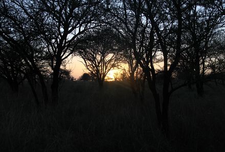 Tansania Familienreise - Tansania for family individuell - Sonnenuntergang Ngorongoro Krater