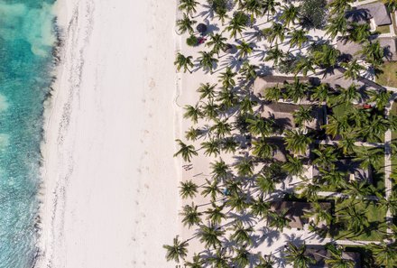 Tansania Familienreise - Tansania for family individuell - Familienabenteuer Tansania - Breezes Beach Club - Karafuu Resort Strand mit Palmen