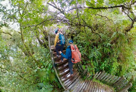 Familienreise Malaysia - Malaysia & Borneo Family & Teens - Familie auf Spaziergang im Mossy Forest