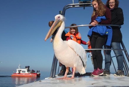 Namibia Deluxe Familienreise individuell - Swakopmund - Pelikan auf dem Boot