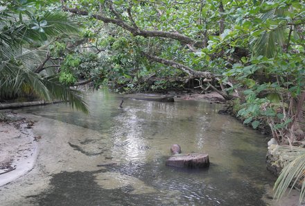 Costa Rica for family Deluxe - Familienreise in Costa Rica - Cahuita Nationalpark