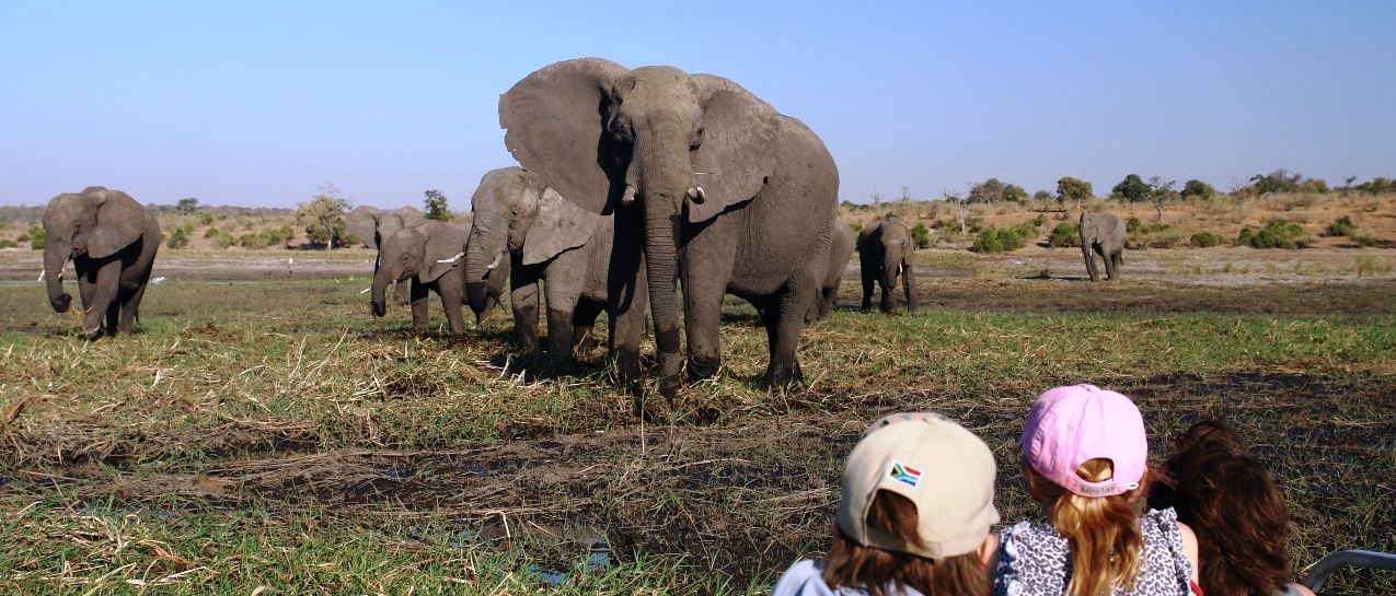 Südafrika mit Kindern - Elefanten beobachten