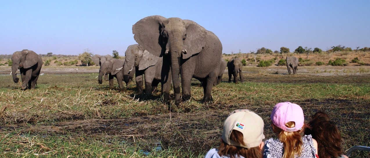 Südafrika mit Kindern - Großeltern reisen mit Kindern - Elefanten beobachten
