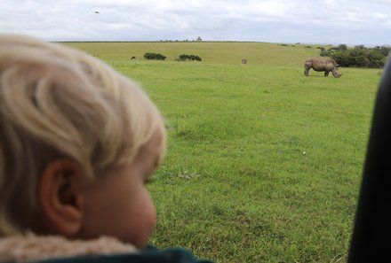 Garden Route mit Kindern  - Safari im Botlierskop Private Game Reserve - Nashorn
