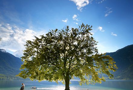 Slowenien for family - Slowenien Familienreise - Baum am Bohinj See