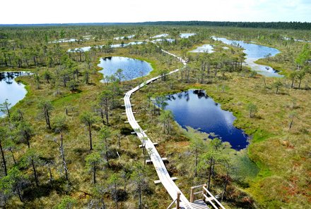 Baltikum for family - Kemeri Nationalpark - Wanderroute