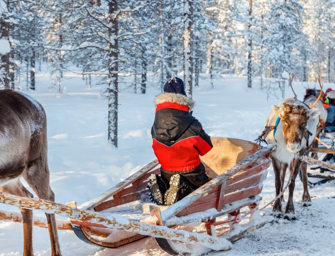 Finnland Familienurlaub - Finnland for family Winter - Rentierschlittenfahrt