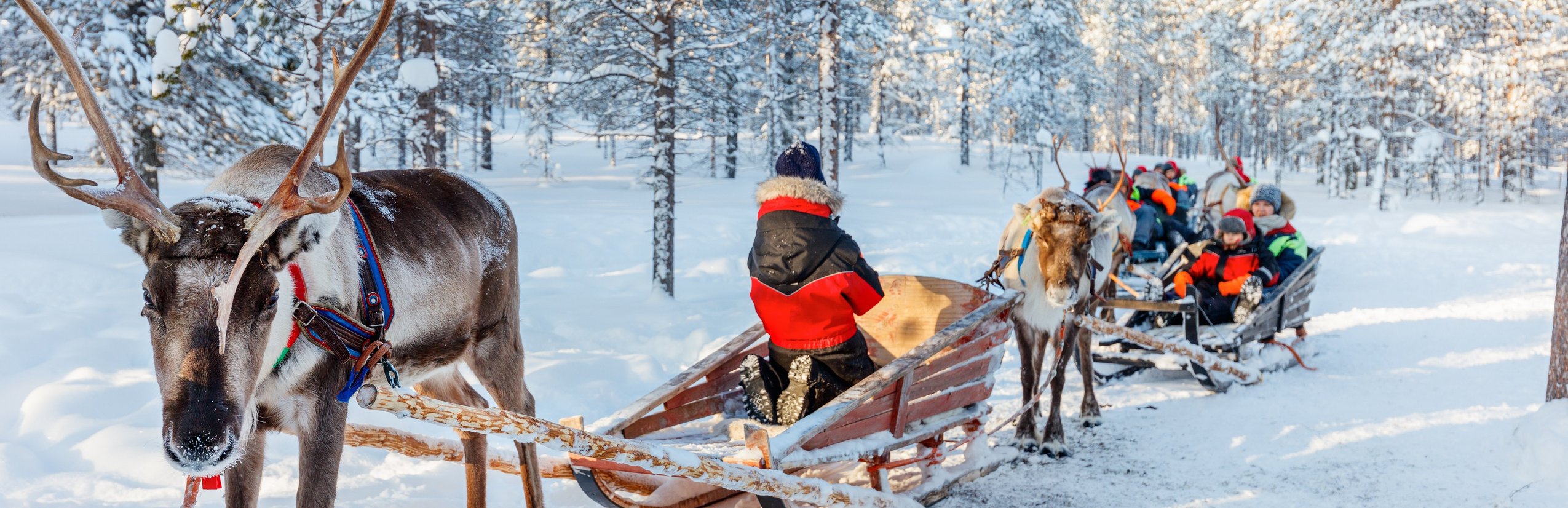 Finnland Familienurlaub - Finnland for family Winter - Rentierschlittenfahrt