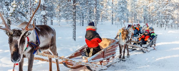 Finnland Familienurlaub - Finnland for family Winter - Rentierschlittenfahrt