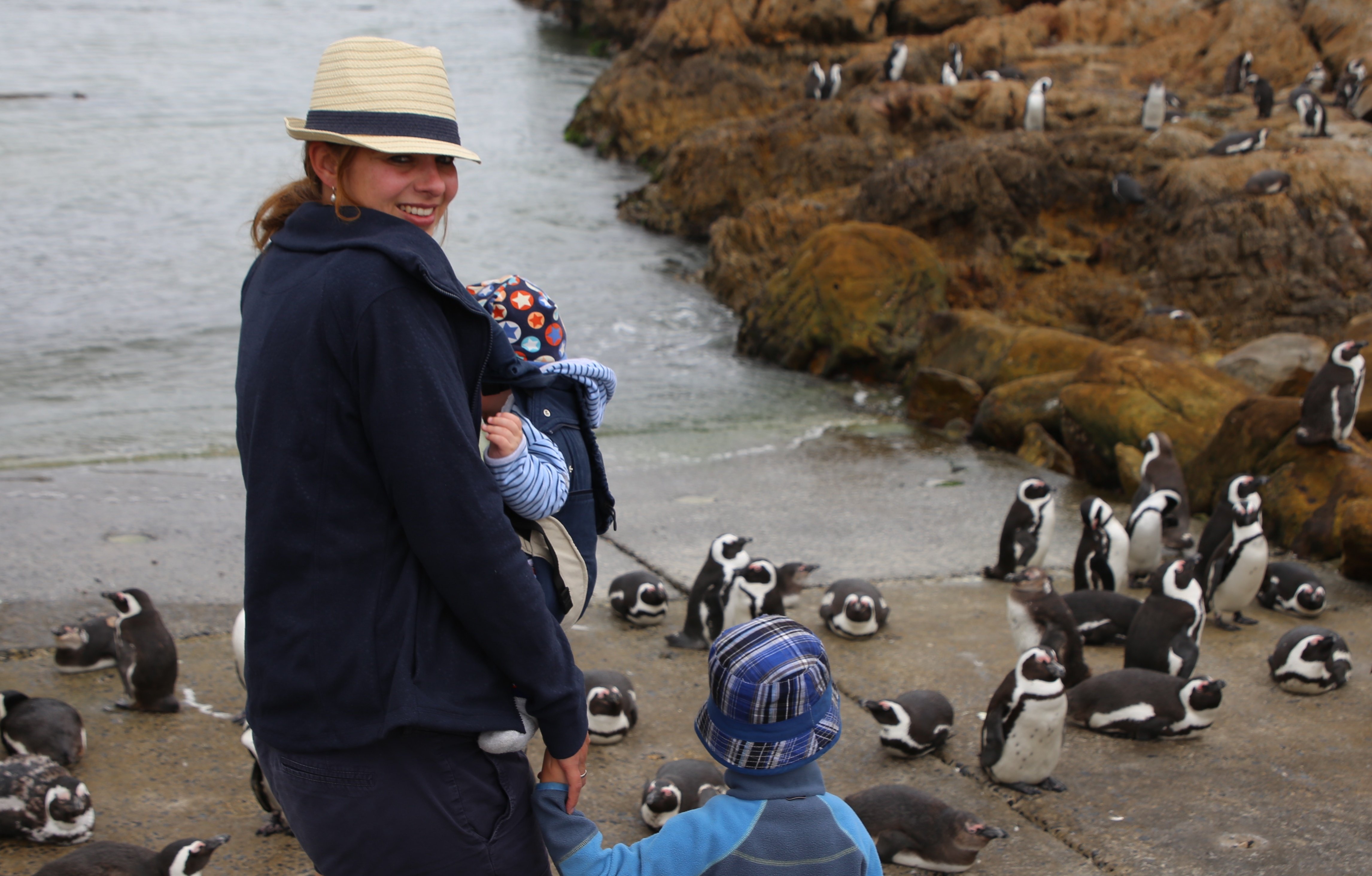 Garden Route mit Kindern - Reisebericht zu Südafrika Reisen mit Kindern - Pinguine Bettys Bay