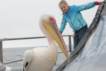 Namibia mit Kindern - Namibia for family - Pelikan auf einem Boot 