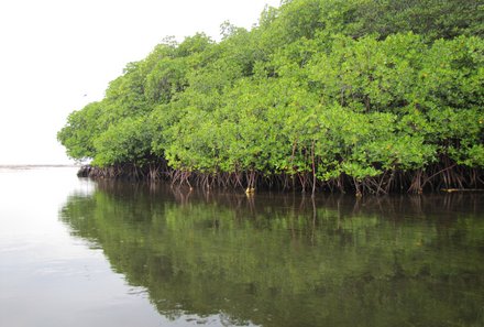 Bali Familienreise - Bali for family - Bootsfahrt zu einem Mangrovenwald auf Nusa Lembongan