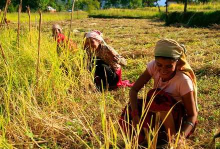 Nepal Familienreise - Nepal mit Kindern - Einheimische Frauen auf dem Feld