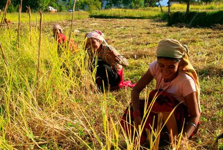 Nepal Familienreise - Einheimische Frauen auf dem Feld