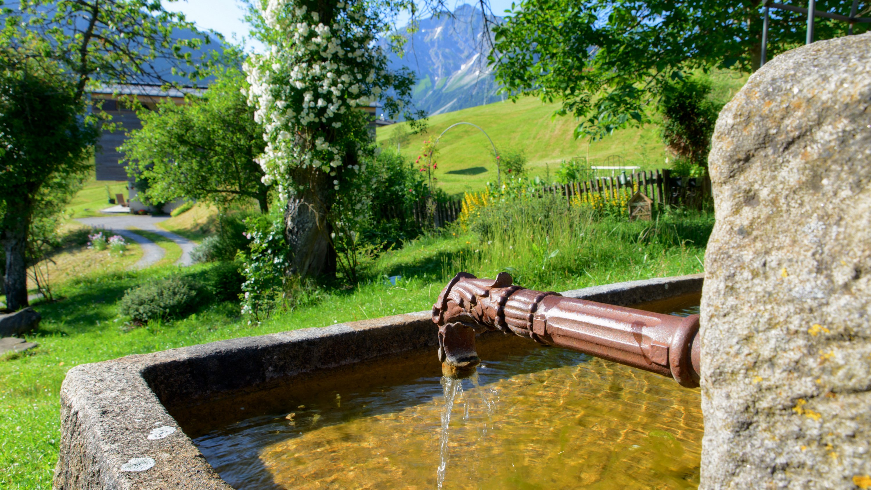 For Family Reisen - Bio-Familienhotel - Chesa Valisa Naturhotel Brunnen