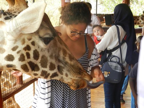 Kenia Familienreise - Frau füttert Giraffe