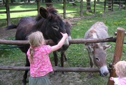 Familienreise - Toskana for family - Kind streichelt Esel