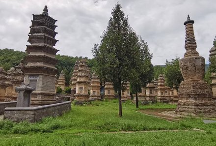 China Familienreise - China mit Jugendlichen - Pagodenwald
