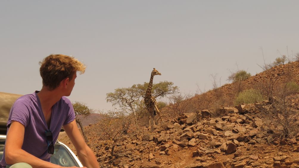 Familienreisen mit Jugendlichen - Namibia Teens on Tour - Giraffenbeobachtung in der Wüste