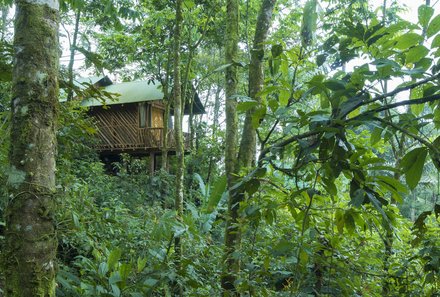 Familienurlaub Costa Rica - Costa Rica for family - La Tigra Rainforest Lodge - Baumhaus im Dschungel