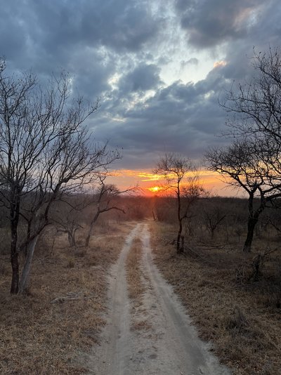 Südafrika for family - Makutsi Sonnenuntergang - Bewertung