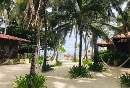 Mexiko Familienreise - Mexiko young family individuell - Petit Lafitte Playa del Carmen - Hängematten unter Palmen