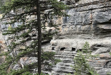 Westkanada Camping for family - Rocky Mountains mit Kindern - Felswand 