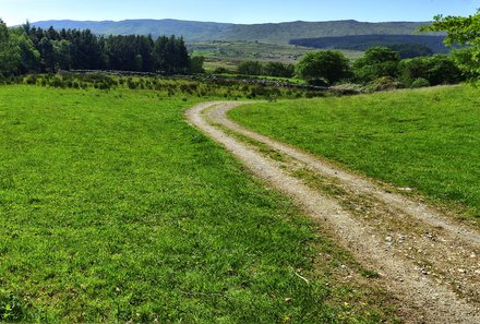 Irland Familienreise - Irland for family - Glengowla Minen - Spazieren durch die Landschaft