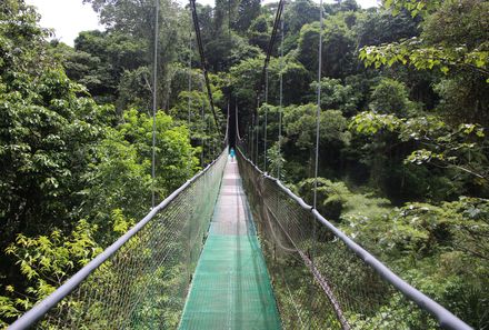 Costa Rica Familienreise - Costa Rica individuell - Hängebrücke im Wald