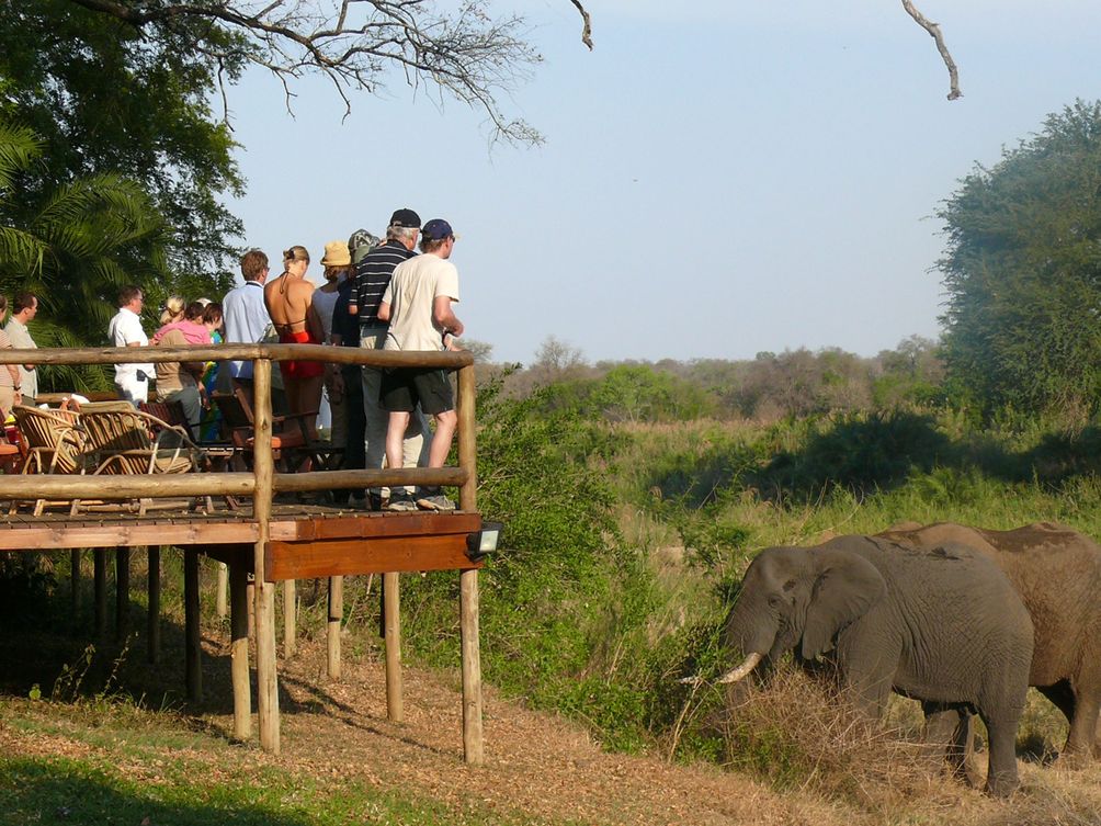 Südafrika mit Kindern - Safari