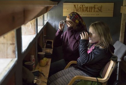 Baltikum for family individuell - Baltikum Familienreise - Lääne Viru Bärenhütte - Kinder beobachten Tiere
