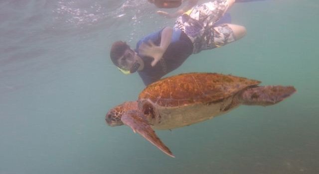Galapagos mit Kindern - Galapagos-Inseln Familienreise - Schildkröte