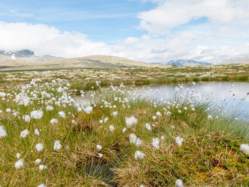 Norwegen mit Kindern - Norwegen for family - Wandern in Norwegen