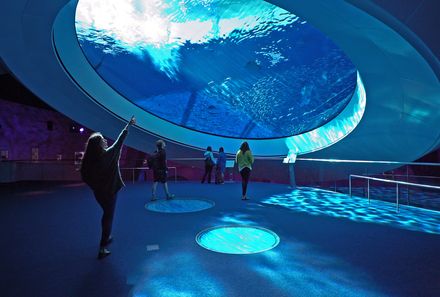 Florida Familienreise - Miami - Frost Science Museum - Aquarium