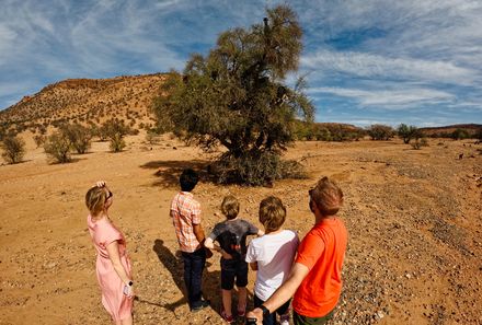 Marokko mit Kindern - Marokko for family - Familie sieht Ziegen im Arganbaum