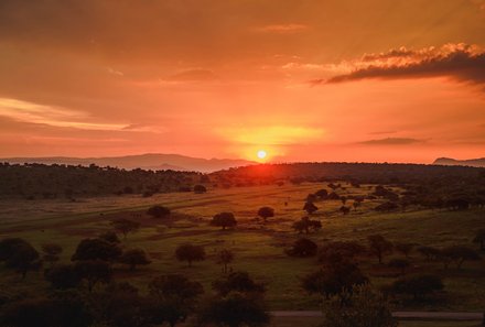 Südafrika Familienreise - Hannah Game Lodge - family and teens -Sunset