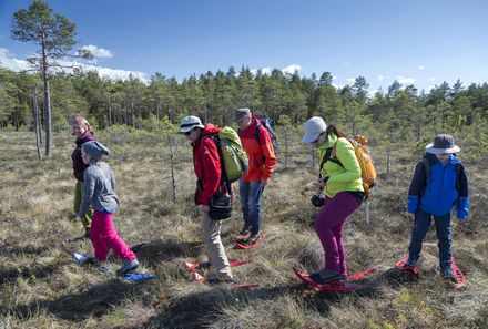 Baltikum Familienreise - Baltikum Family & Teens - Estland Moorwanderung