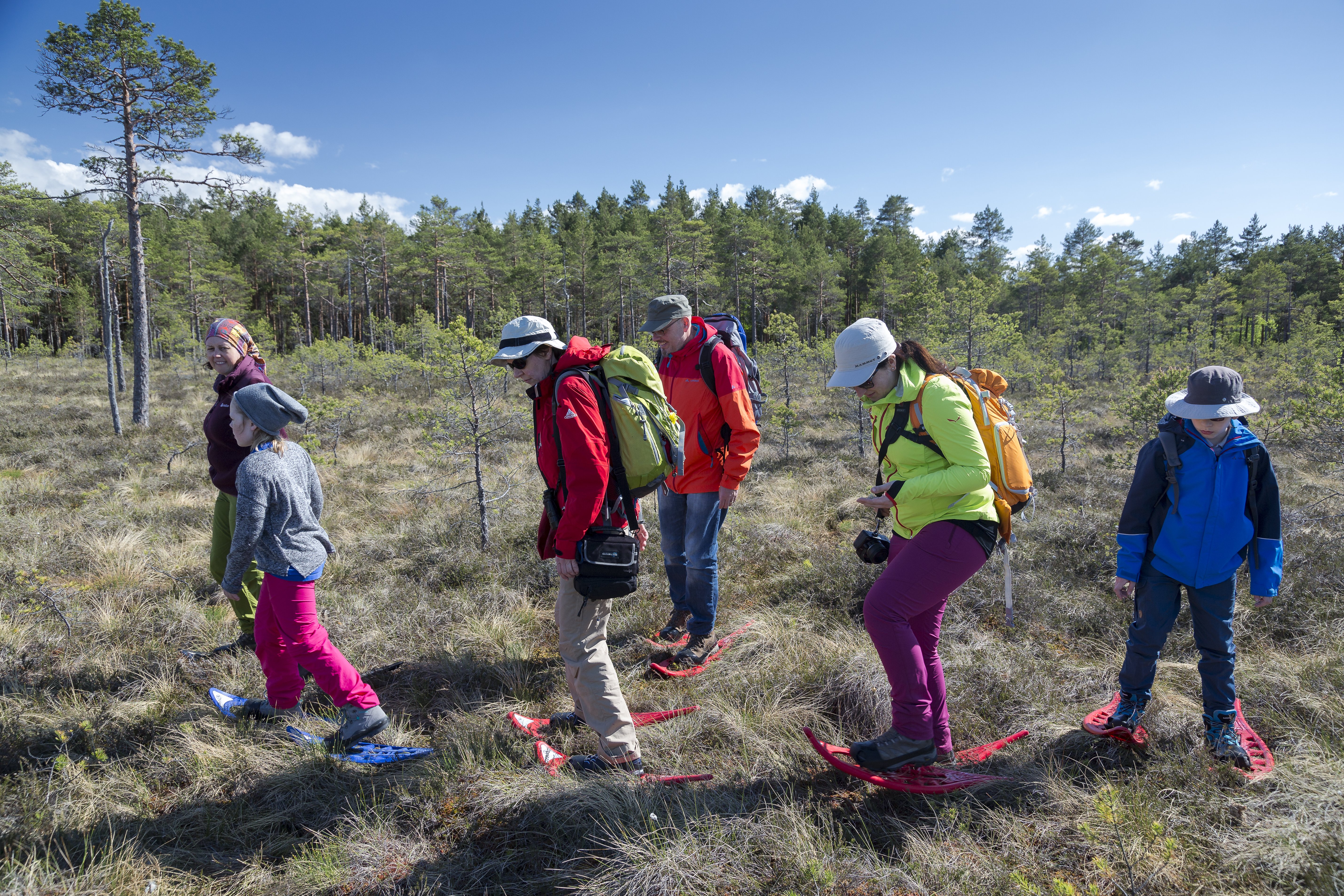 Baltikum mit Kindern - Estland mit Kindern - Moorschuhwanderung