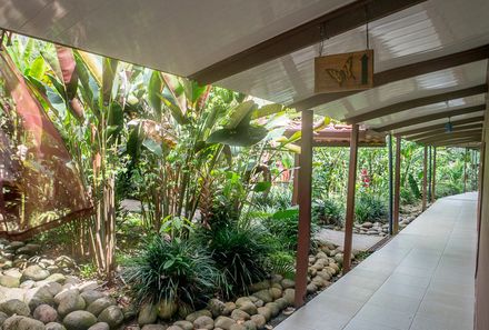 Costa Rica Familienreise - Costa Rica Family & Teens - La Quinta Sarapiqui Lodge - Garten