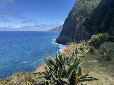 Madeira for family - Familienreise mit Kindern - Blick auf die Natur Madeira for family - Familienreise mit Kindern - Blick auf die Natur