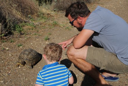 Familienreise Garden Route - Garden Route for family - Schildkröte