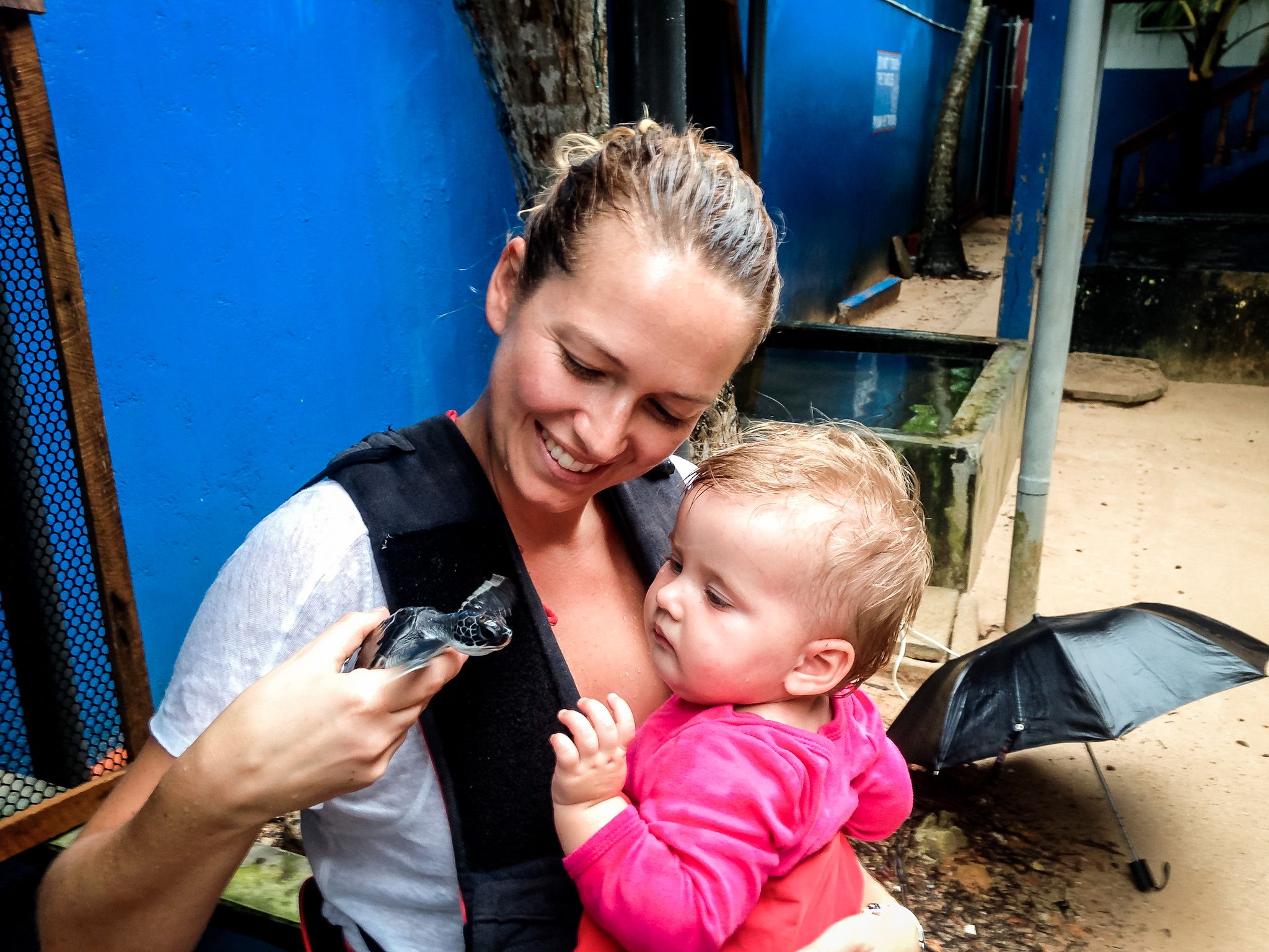 Familienreise - Sri Lanka mit Kinder - Bloggerin Tatjana Lieblingsspot - Turtle Farm