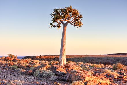 Namibia Familienreise im Mietwagen - Süden Namibias - Fish River Canyon