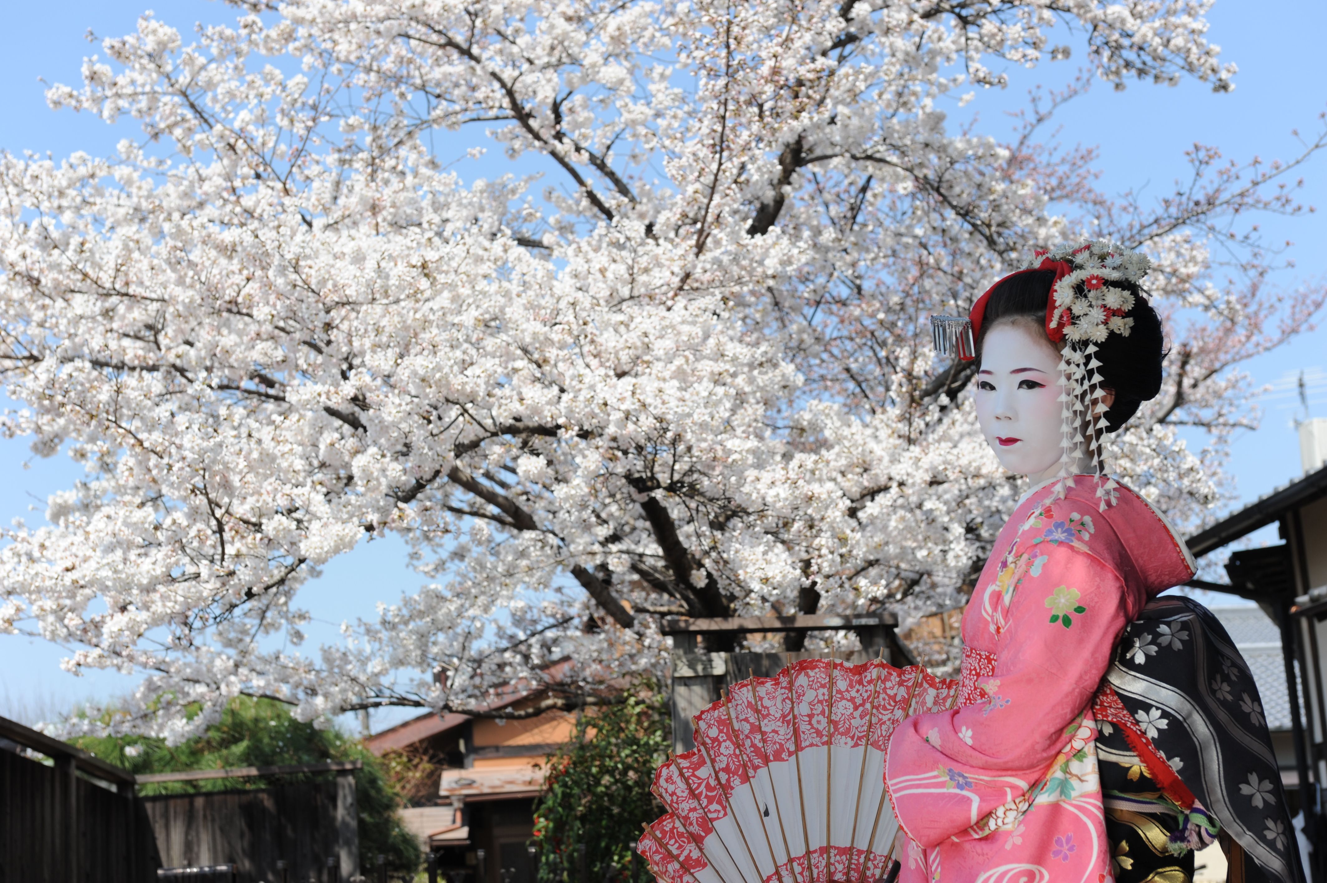 Familienreisen - Japan for family - Einheimische