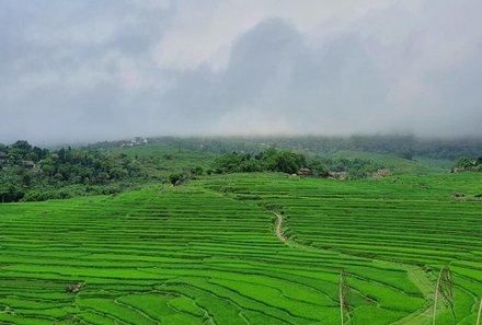 Laos und Vietnam Familienreise - Laos und Vietnam Reise mit Kindern - Mai Chau Reisfelder